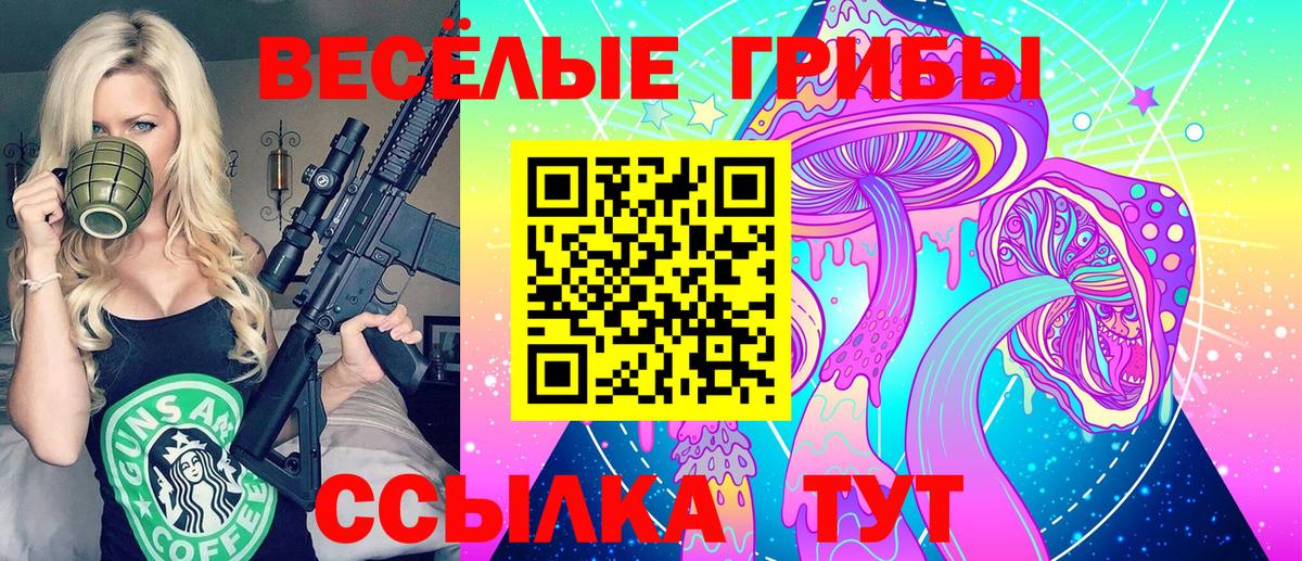 Псилоцибиновые грибы ЛСД Гатчина