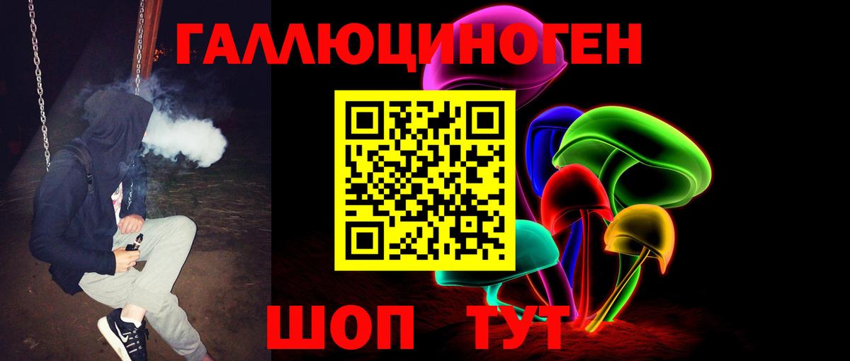Галлюциногенные грибы GOLDEN TEACHER  Вход с VPN  Гатчина  Псилоцибиновые грибы Psilocybine cubensis 